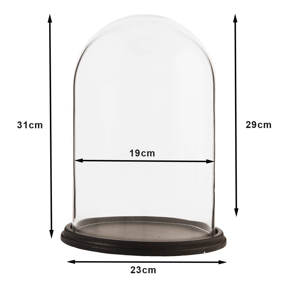 Cloche en verre avec socle en bois noir Ø 23x31 cm