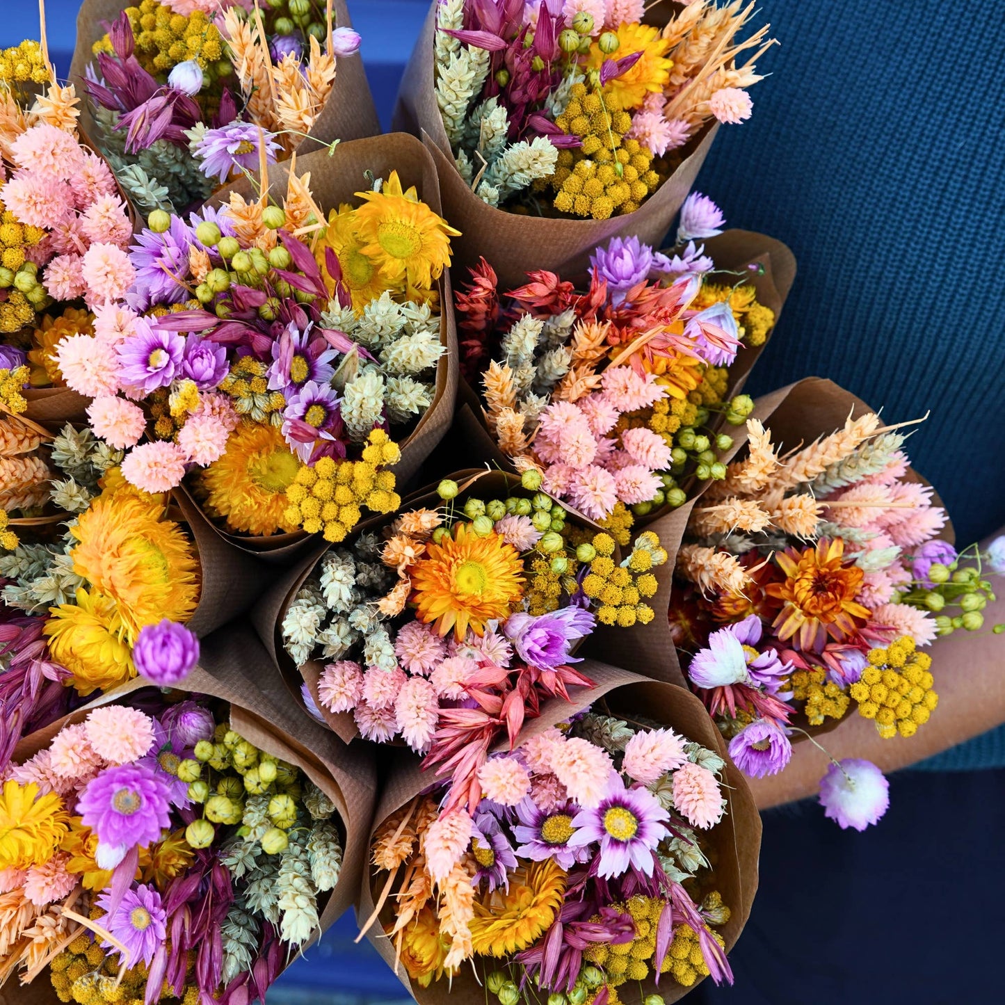 Fleurs séchées - Délice ensoleillé