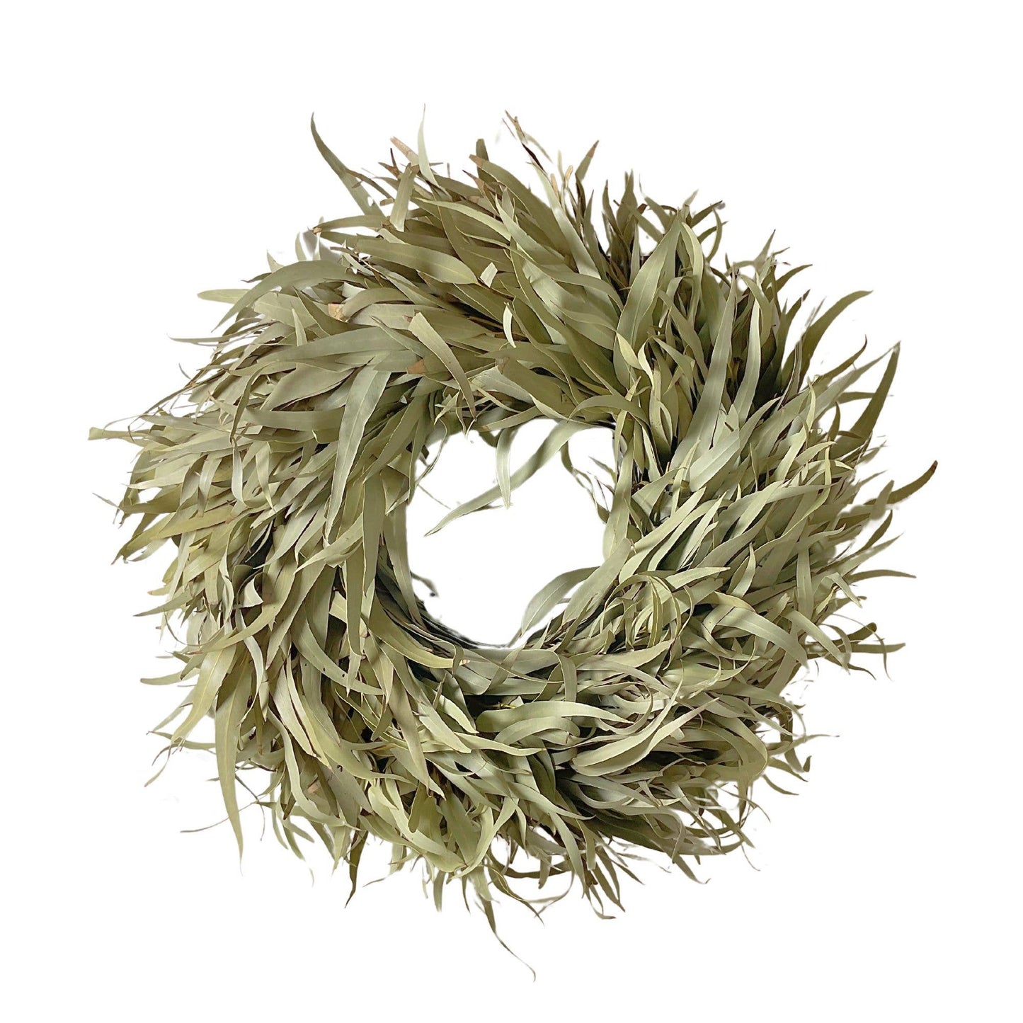 Couronne de fleurs séchées Saule XXL