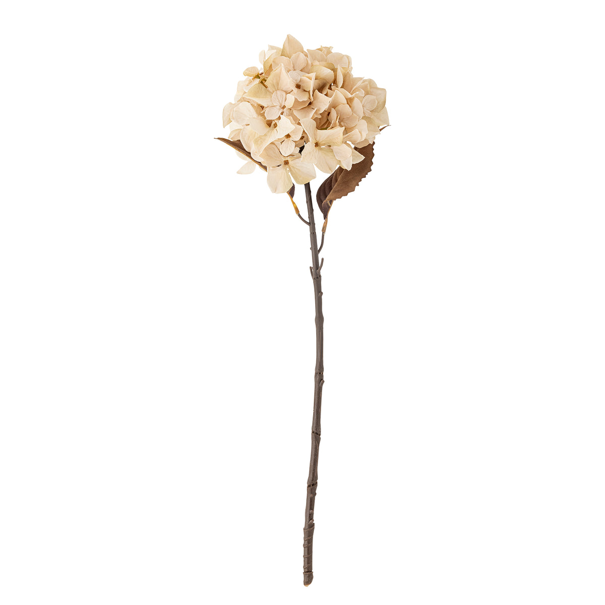 Tige d’hortensia artificiel blanc crème – 65 cm