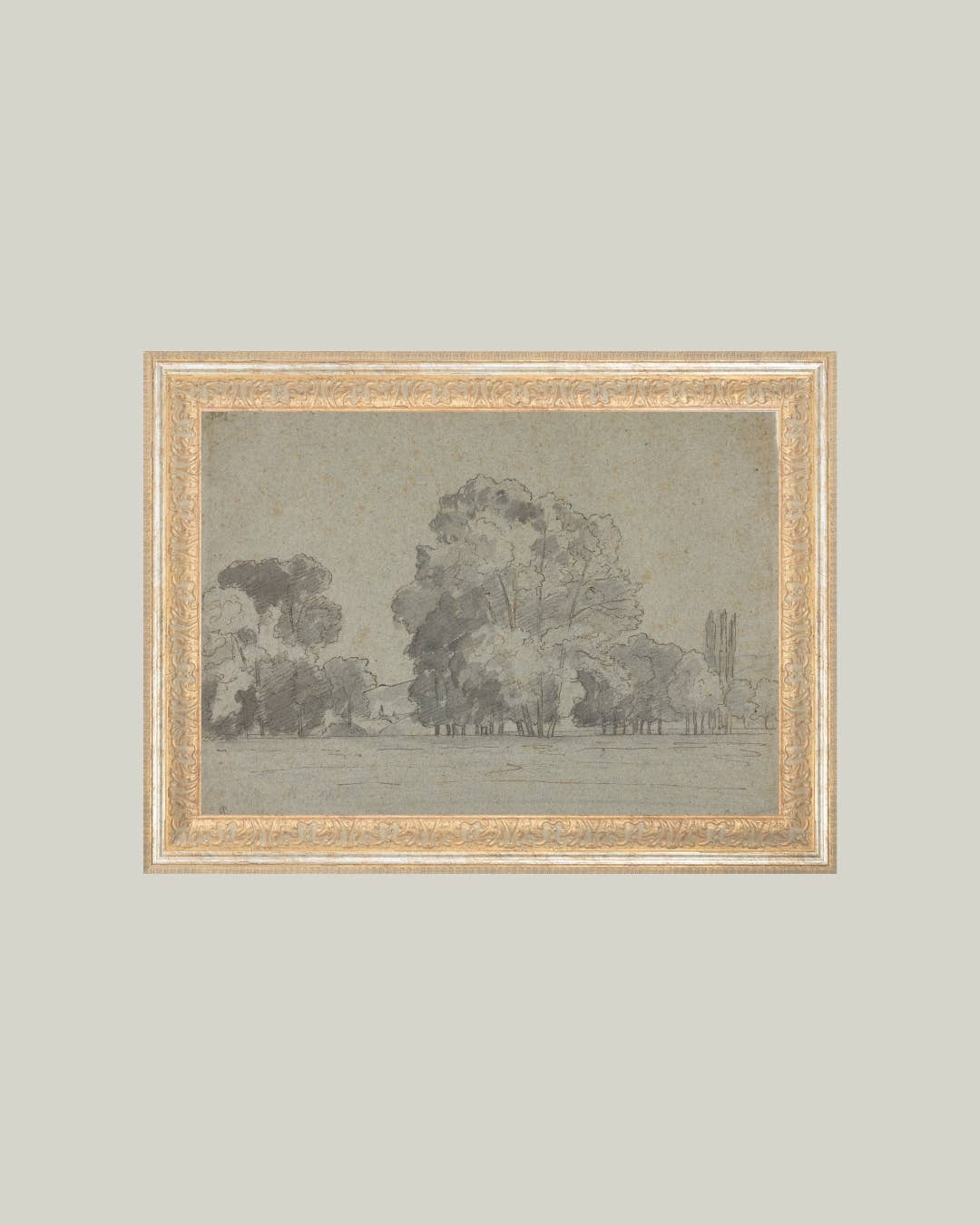 Impression sur Toile - Bosquet