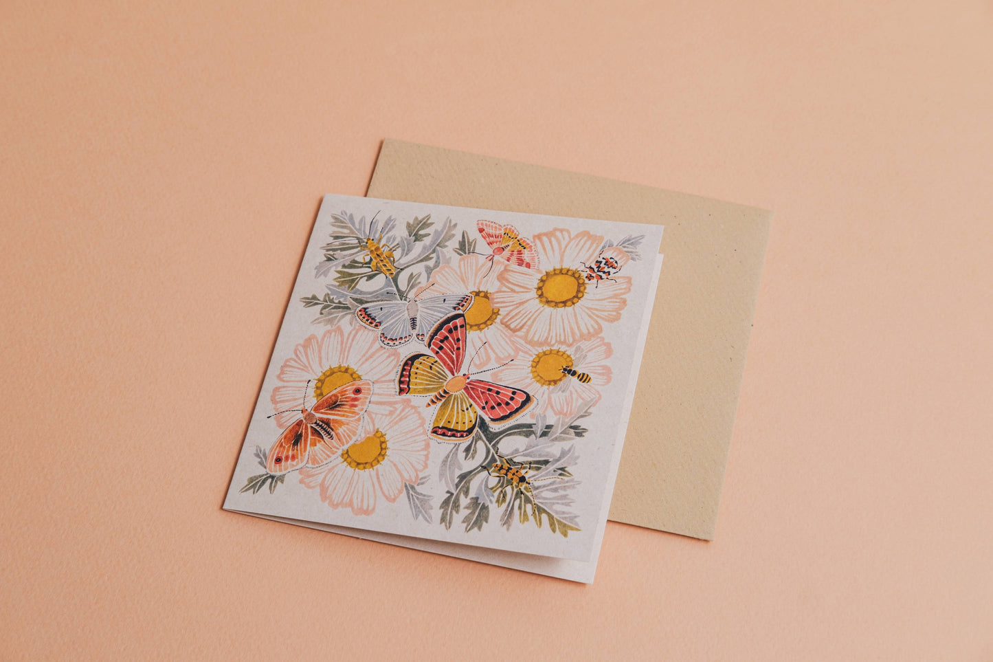Carte botanique marguerites sauvages – format carré