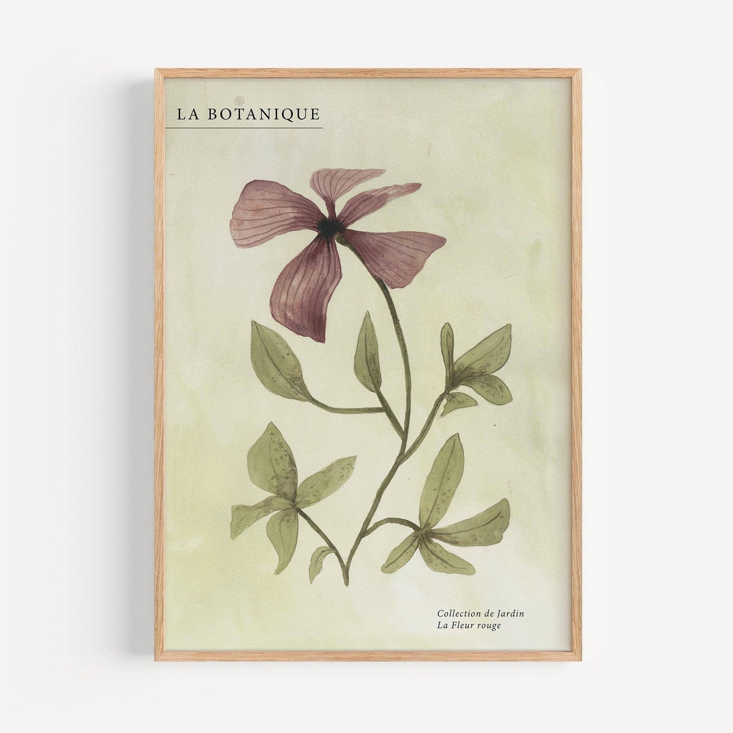 Poster - Fleur violette