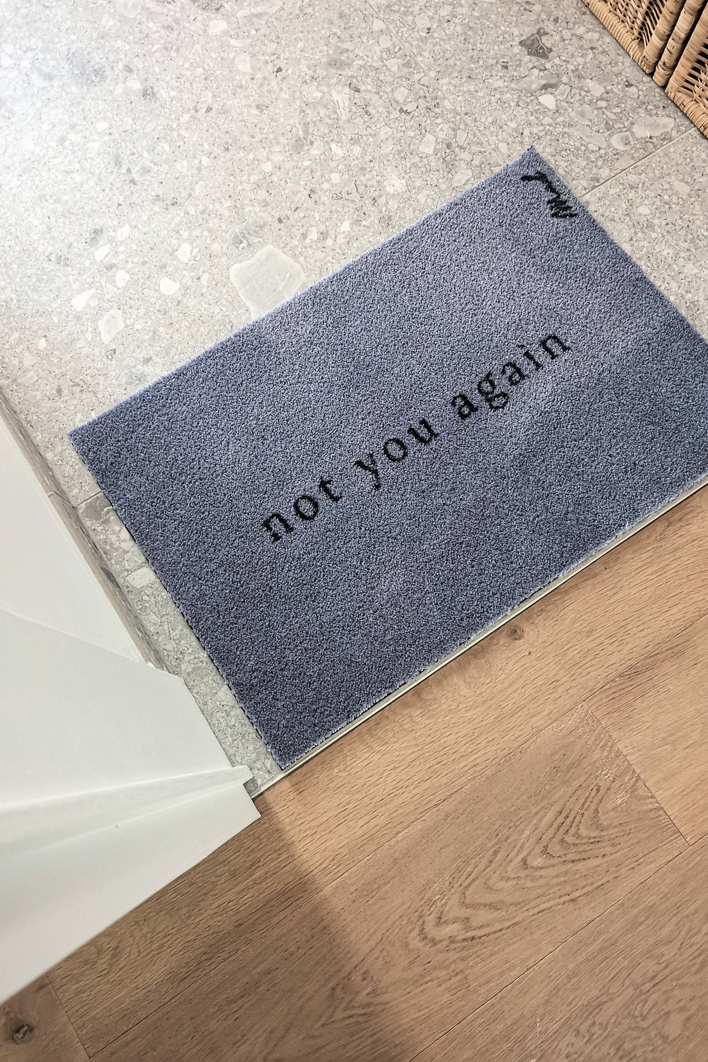 Tapis « Not you again »