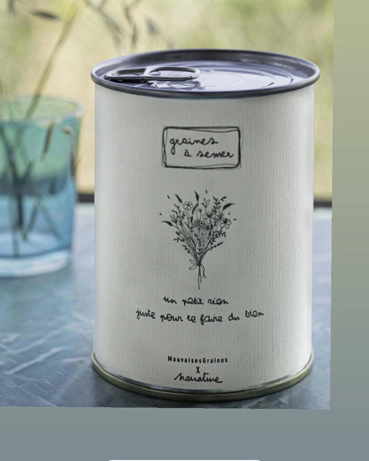 Kit à semer "Un petit Rien" fabriqué en France  collab avec