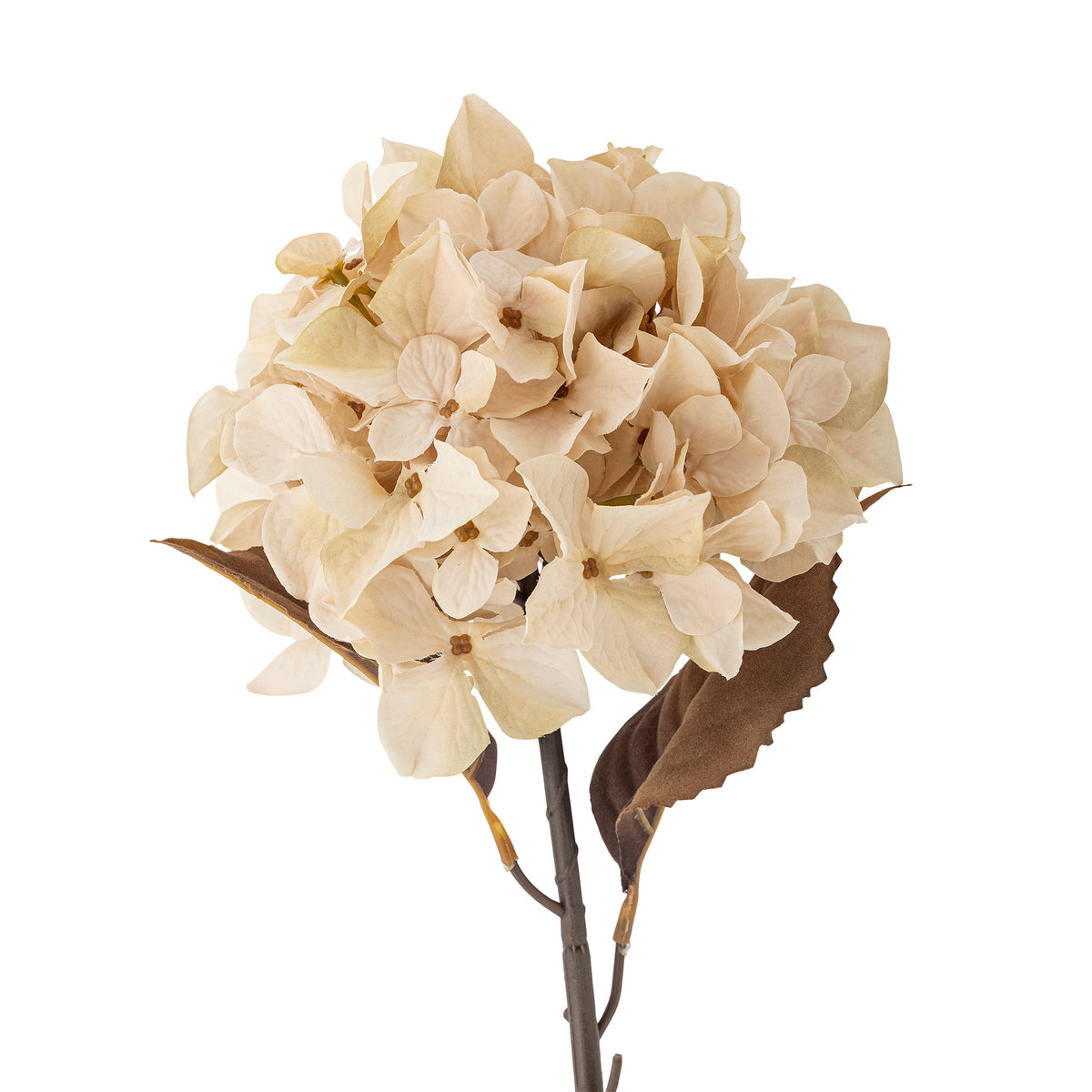 Tige d’hortensia artificiel blanc crème – 65 cm