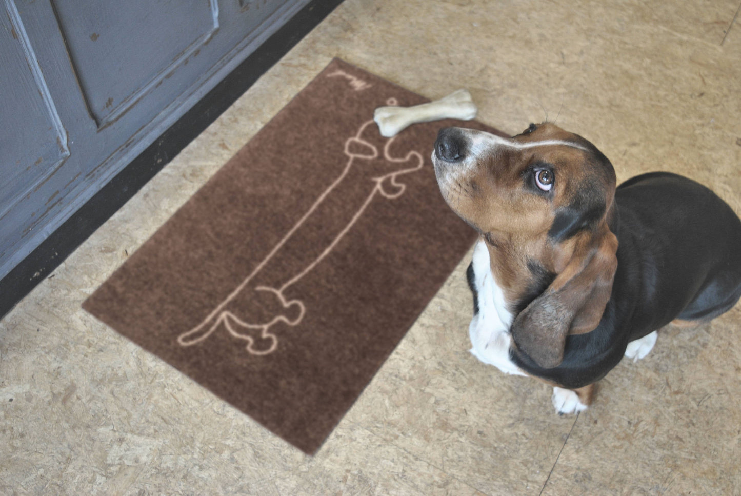 Tapis d'entrée Teckel