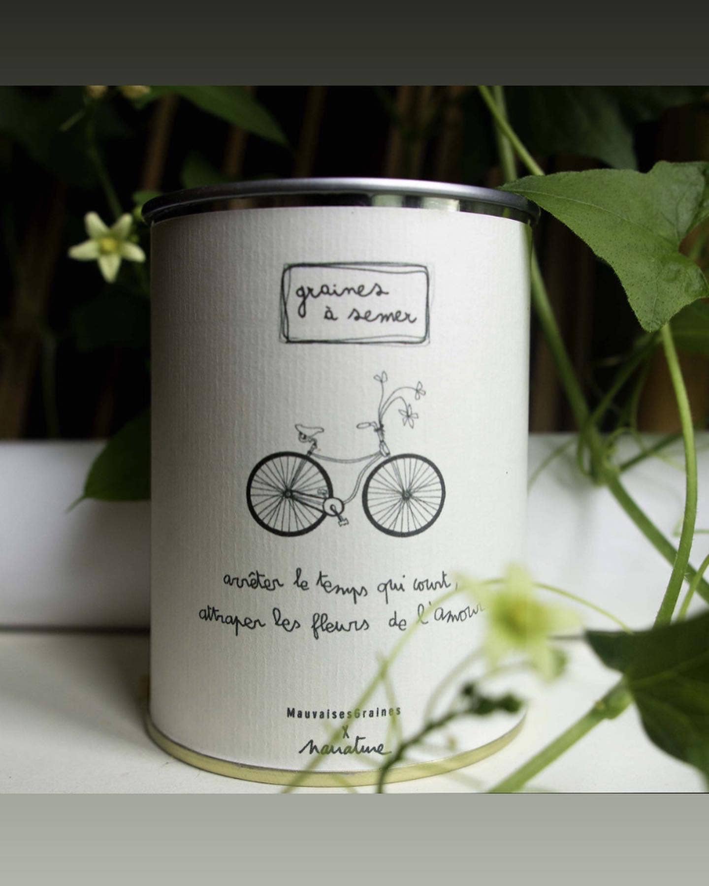 Kit à semer "Vélo" fabriqué en France  collab avec Narrature
