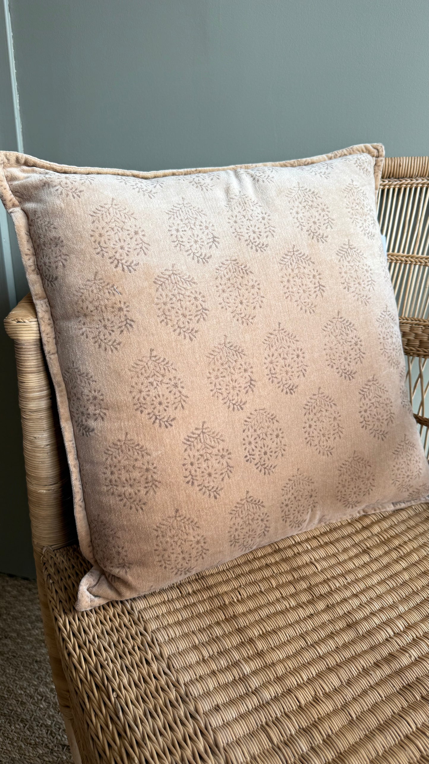 Coussin en Velours Imprimé