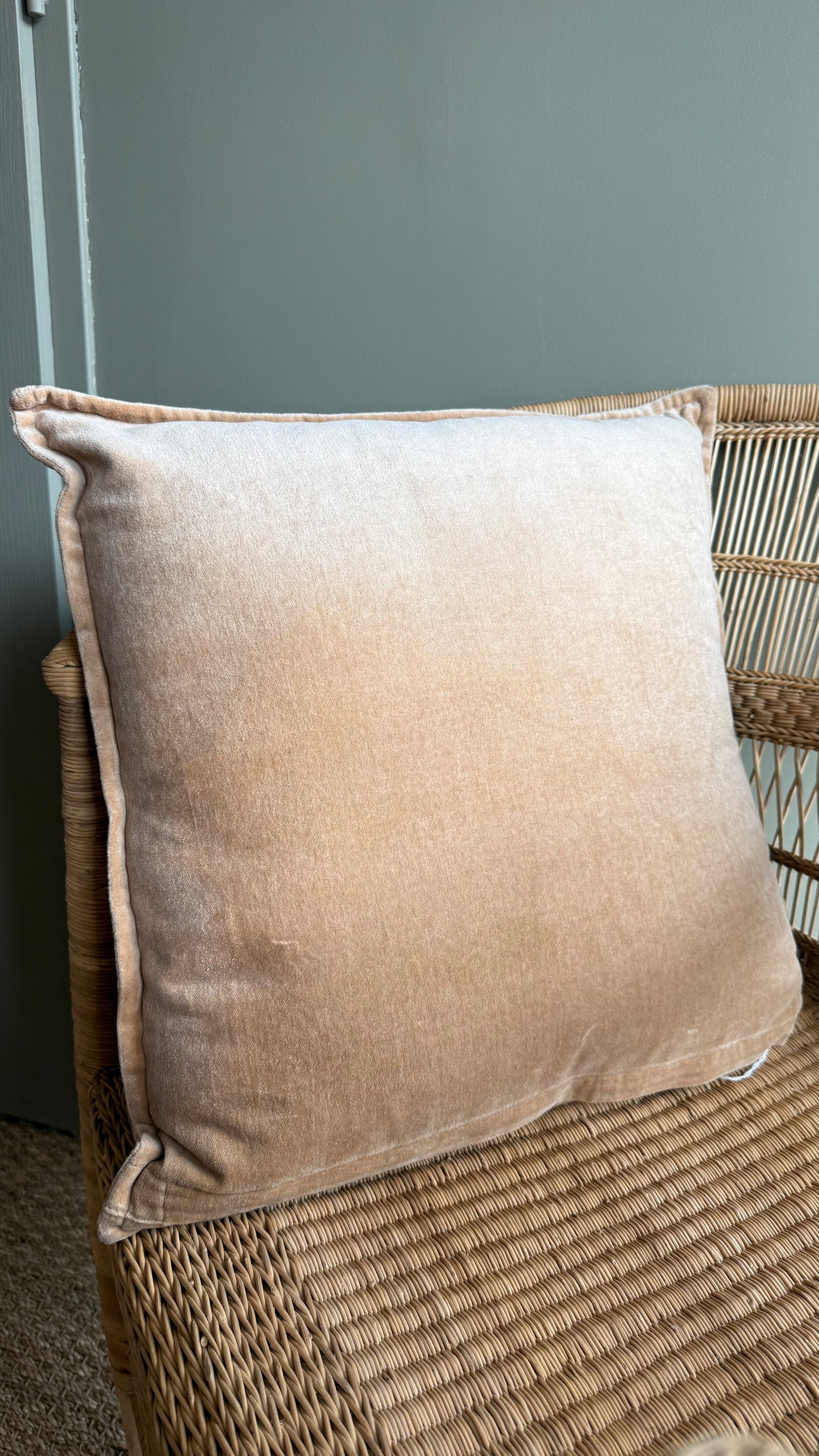 Coussin en Velours Imprimé