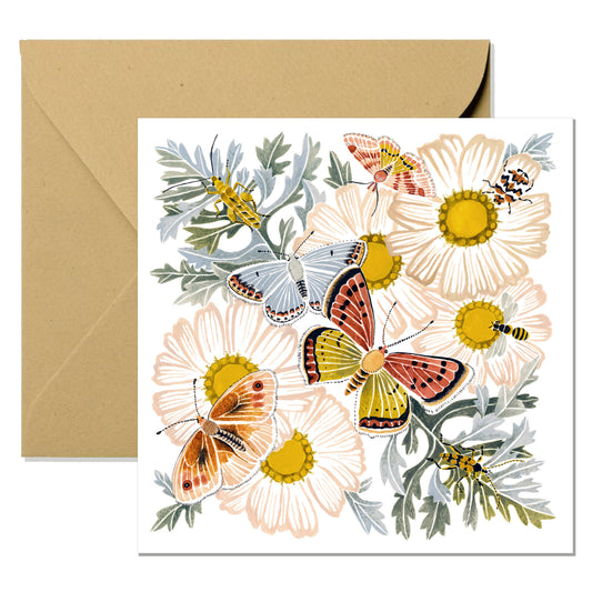 Carte botanique marguerites sauvages – format carré