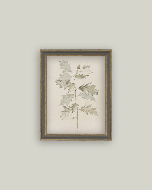 Tableau Feuilles de chêne