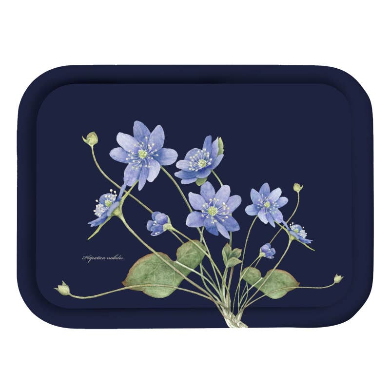 Plateau Anémones bleues – Marianne Scheel
