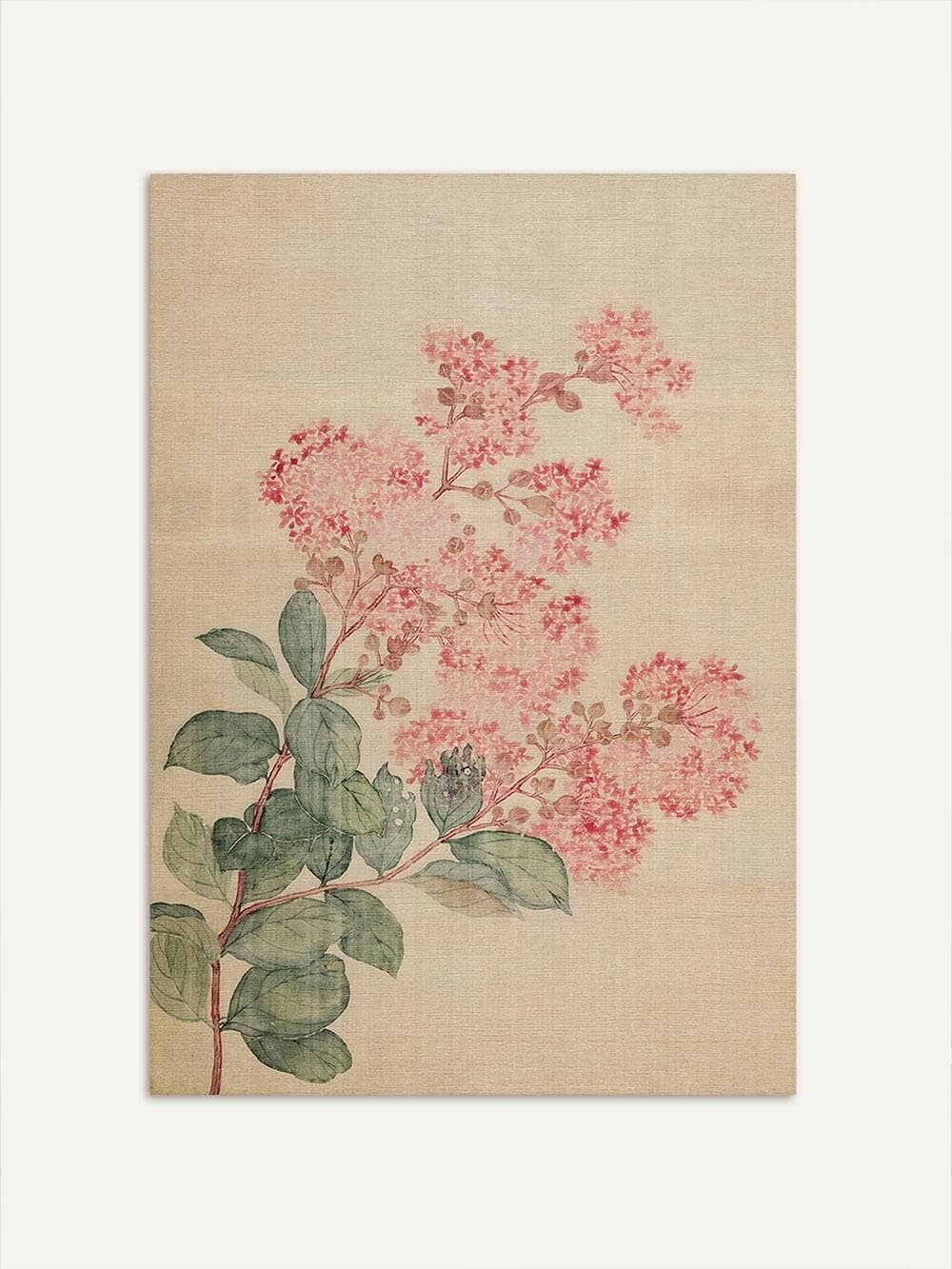 Impression Hortensia