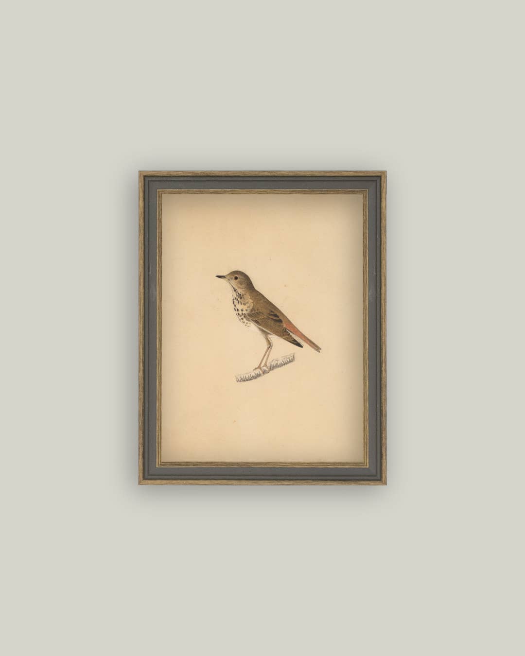Impression oiseau