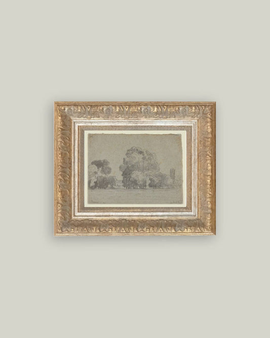 Impression sur Toile - Bosquet