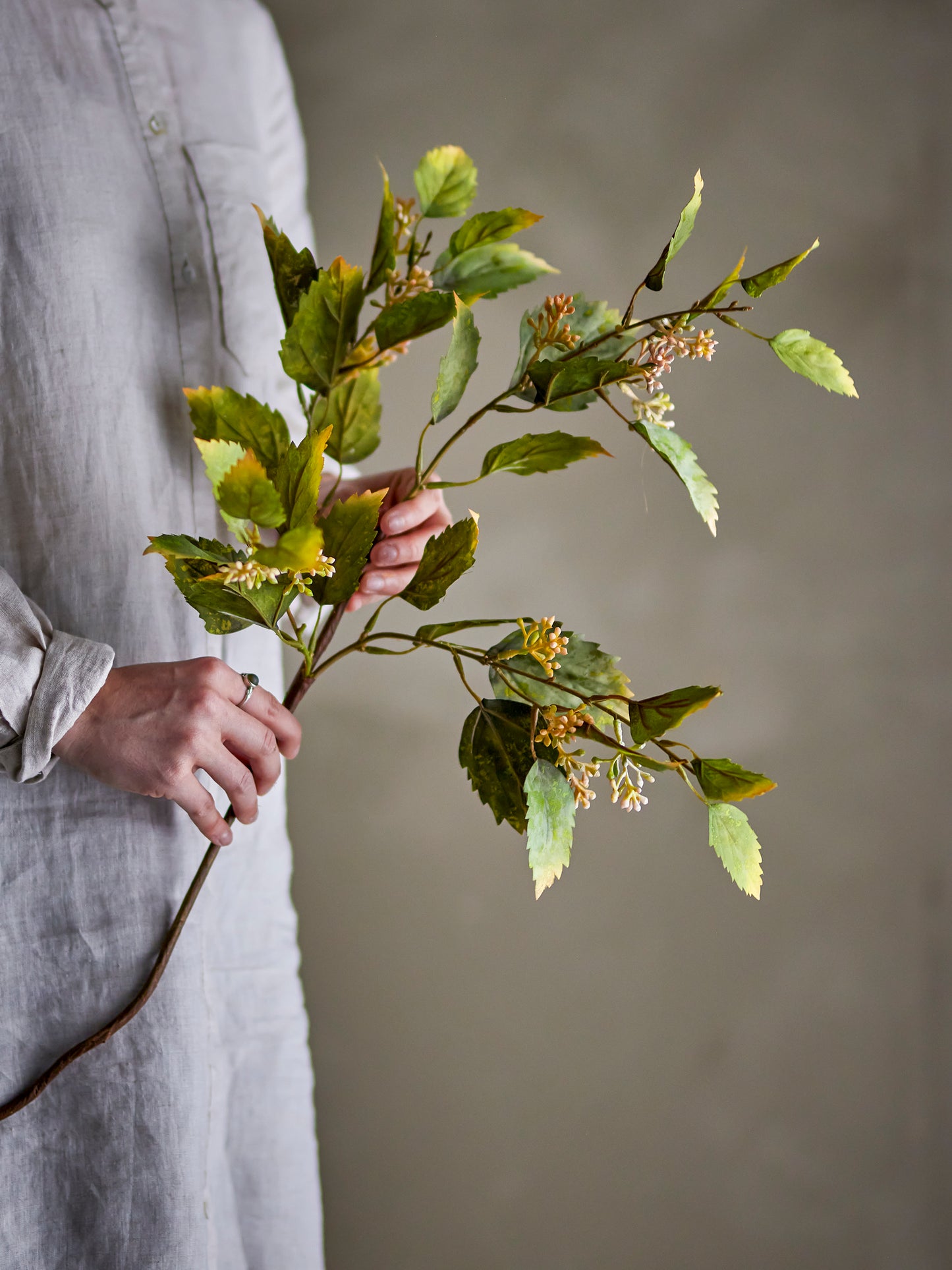 Tige d'eucalyptus artificielle Bloomingville tenue à la main avec feuilles vertes dentelées et boutons délicats.