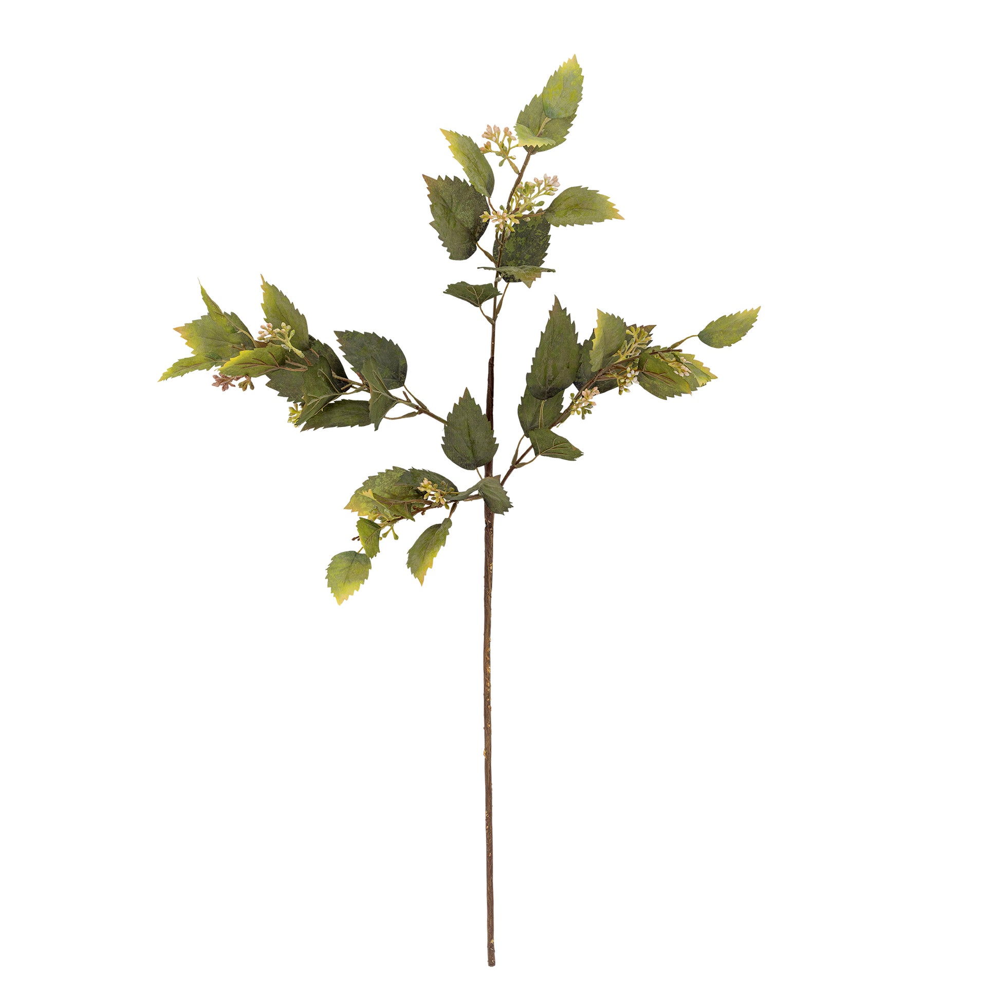 Branche d'eucalyptus artificielle Bloomingville avec feuillage vert naturel et petits boutons décoratifs.